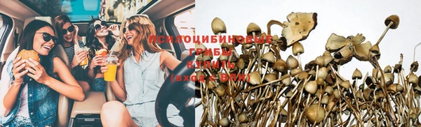 мескалин Алексеевка