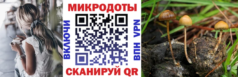 купить закладку  Нягань  Псилоцибиновые грибы Psilocybine cubensis 