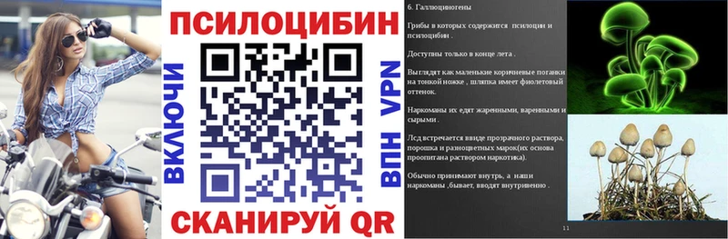 Псилоцибиновые грибы Cubensis Нягань