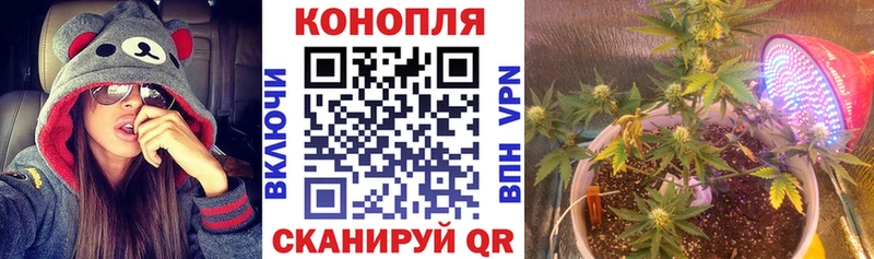 продажа наркотиков  Нягань  Марихуана семена 